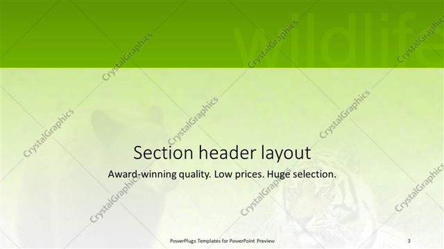 Section Header presentation slide layout