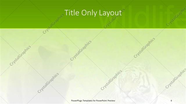 Title Only presentation slide layout