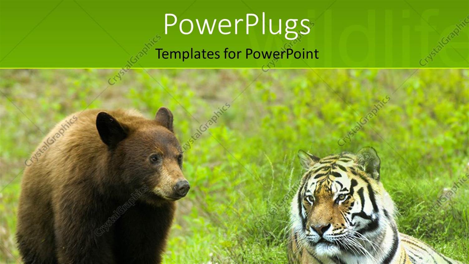 Premium Template for PowerPoint & Google Slides 