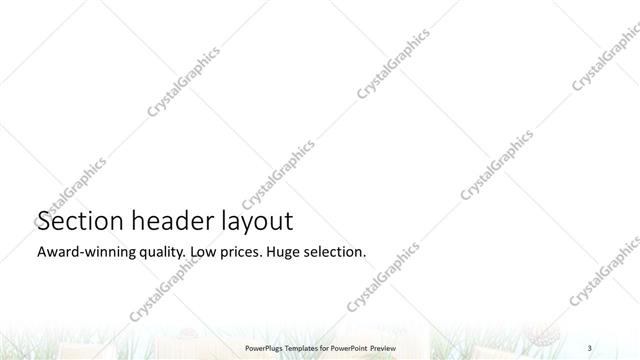 Section Header presentation slide layout