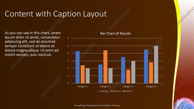 Content with Caption presentation slide layout