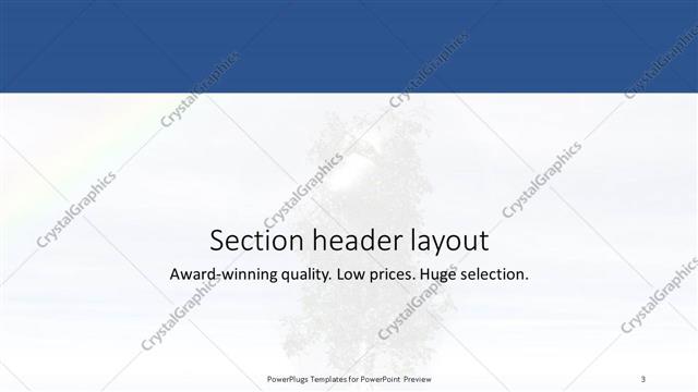 Section Header presentation slide layout