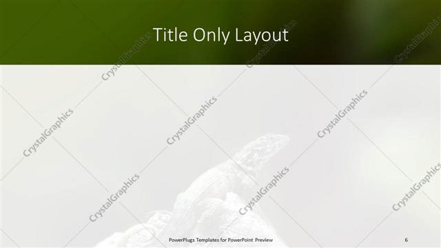 Title Only presentation slide layout