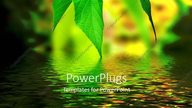  Presentation with light green - Light shinning on beautiful green leaves with reflection on water surface?