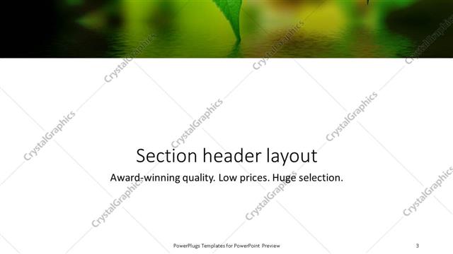 Section Header presentation slide layout