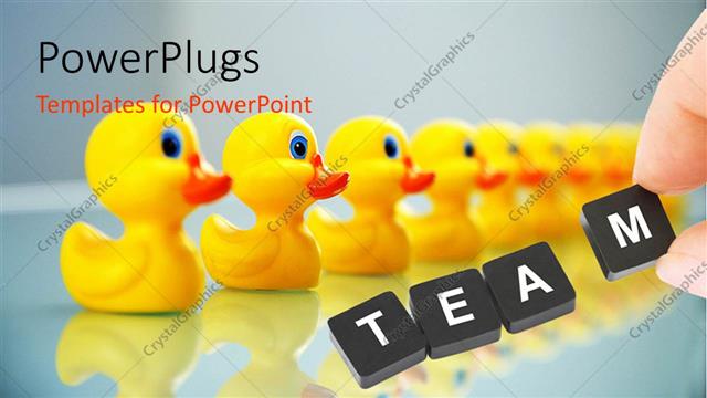  Presentation with team - Line up of yellow small rubber ducks with the text team