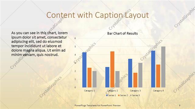 Content with Caption presentation slide layout
