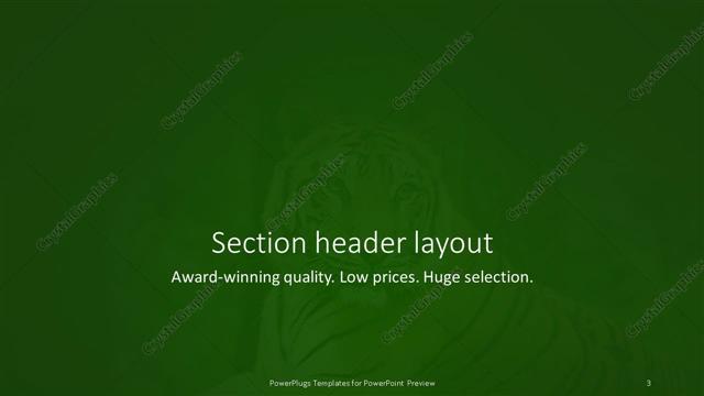 Section Header presentation slide layout