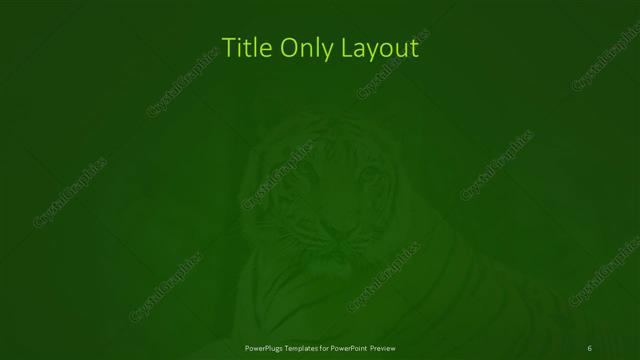Title Only presentation slide layout