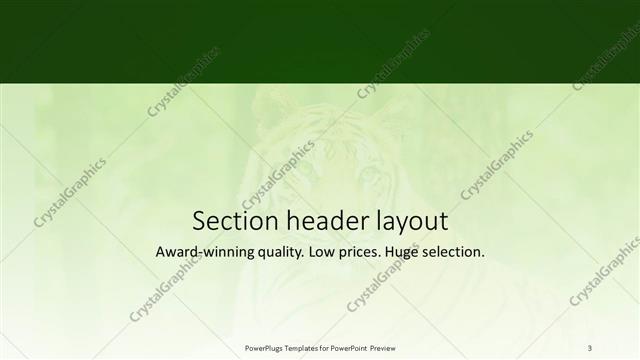 Section Header presentation slide layout