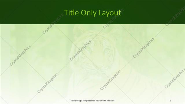 Title Only presentation slide layout