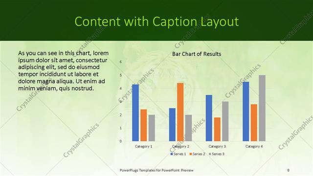 Content with Caption presentation slide layout