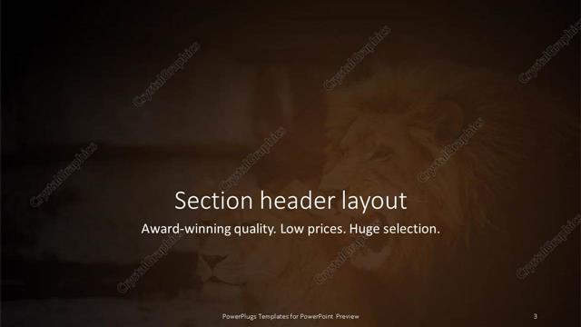 Section Header presentation slide layout