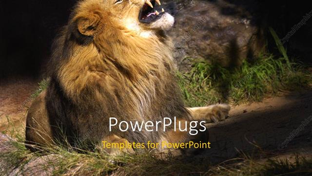  Presentation with stone - A lion roaring with a stone in the background
