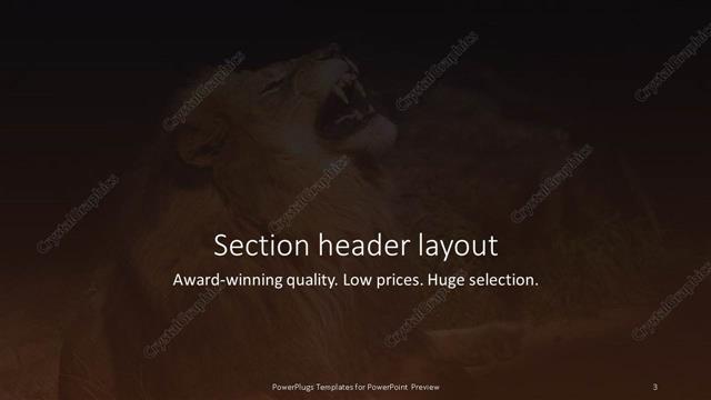 Section Header presentation slide layout