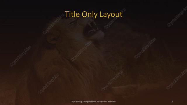 Title Only presentation slide layout
