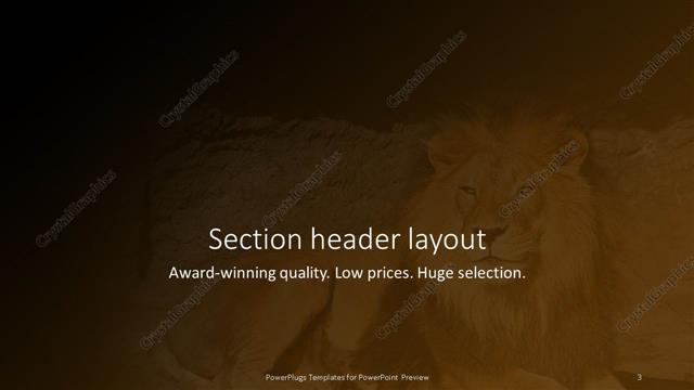 Section Header presentation slide layout