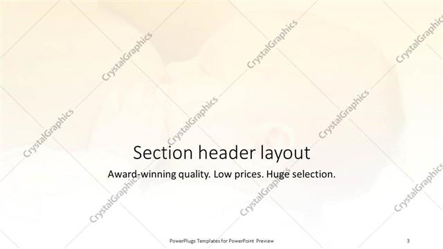 Section Header presentation slide layout