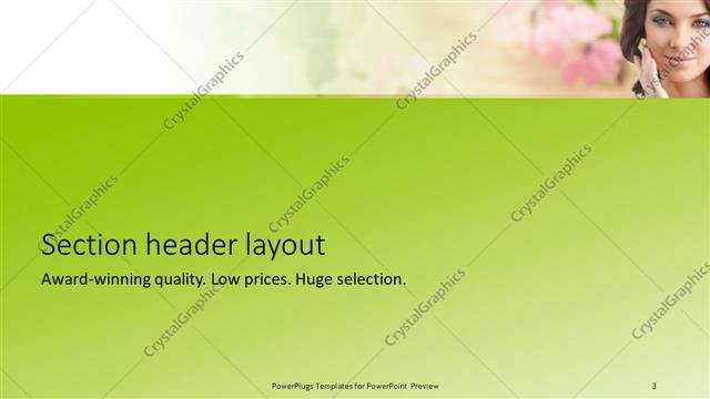 Section Header presentation slide layout