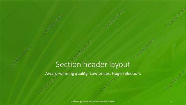 Section Header presentation slide layout