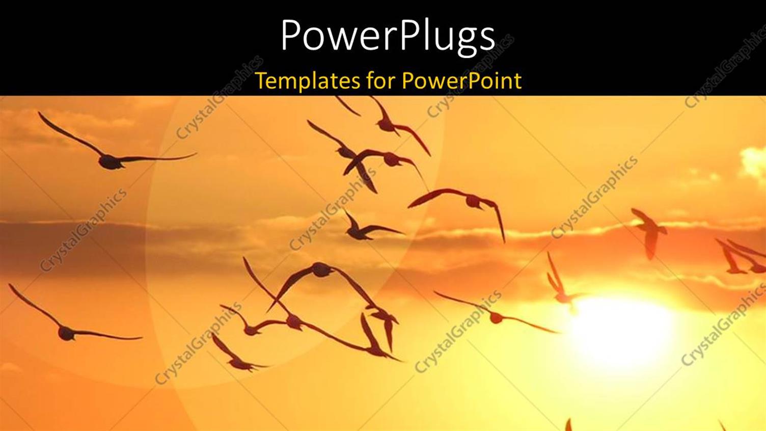 Premium Template for PowerPoint & Google Slides 