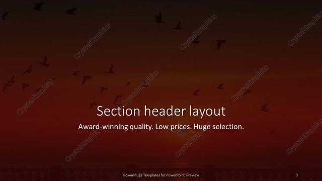 Section Header presentation slide layout