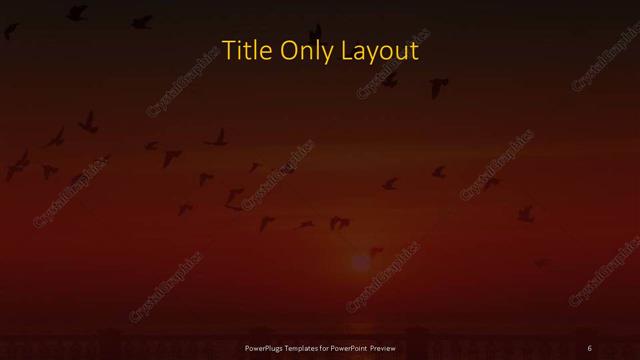 Title Only presentation slide layout