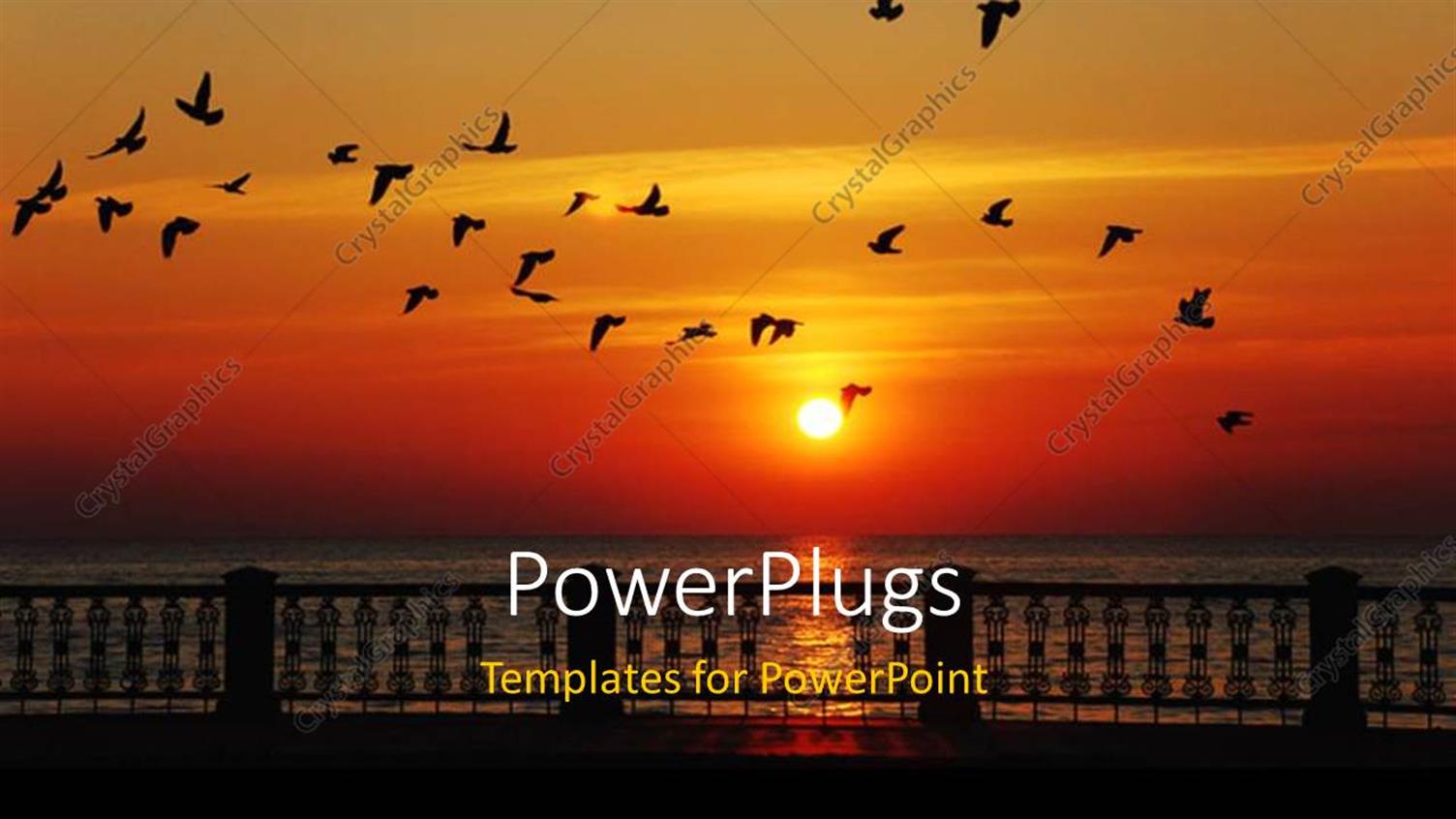 Premium Template for PowerPoint & Google Slides 