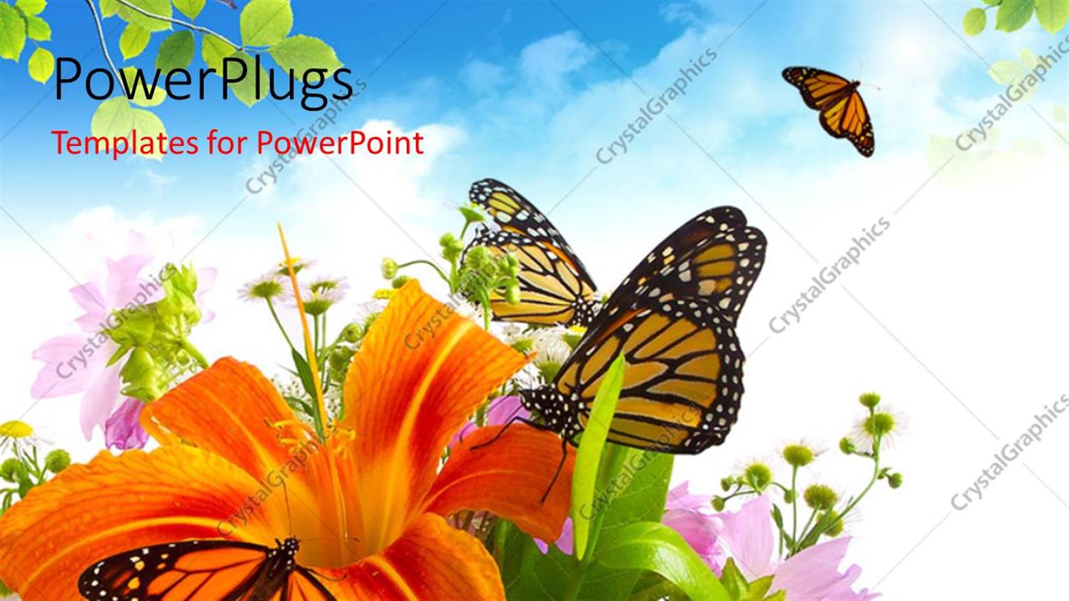 Premium Template for PowerPoint & Google Slides 