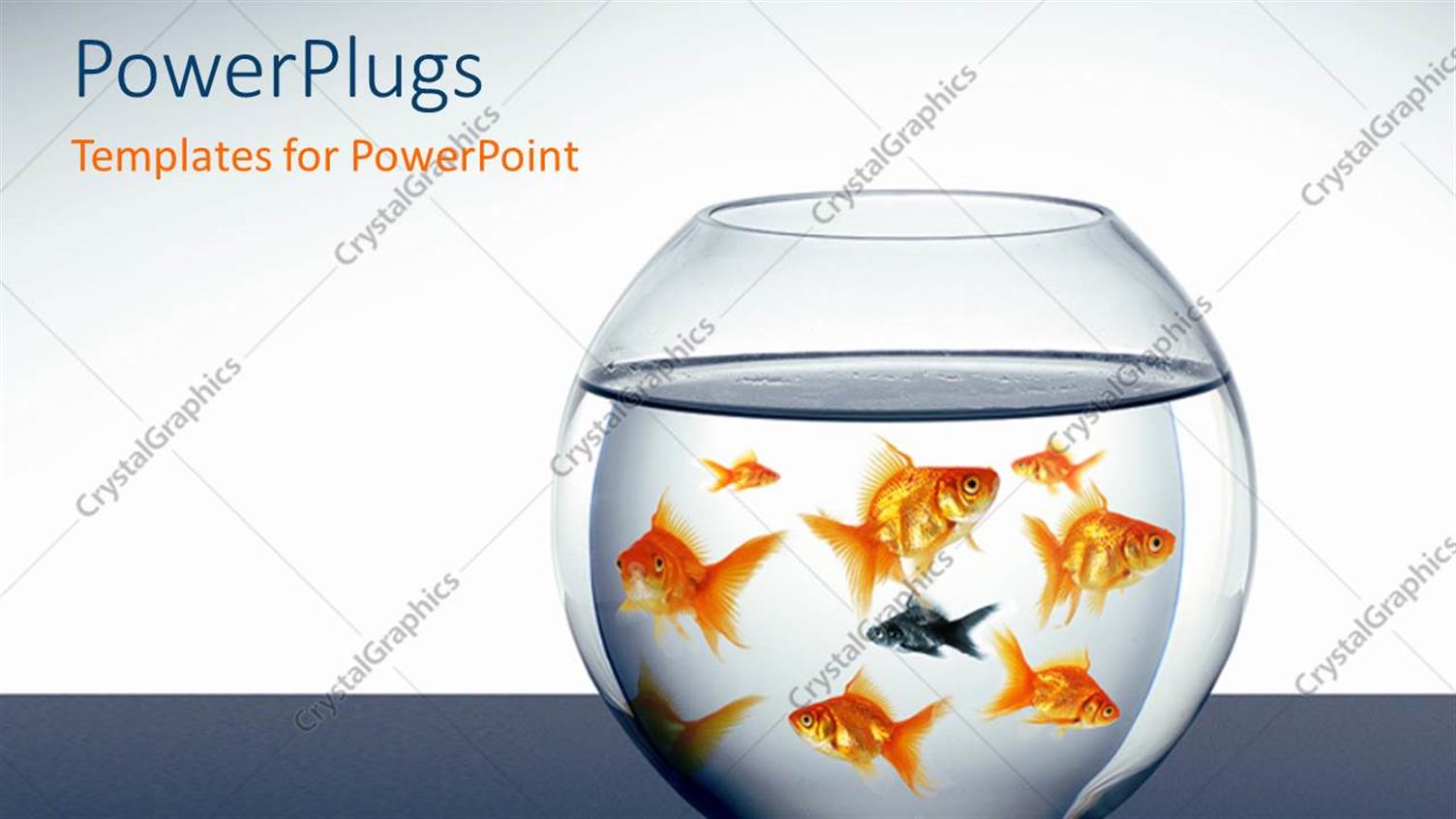 Premium Template for PowerPoint & Google Slides 