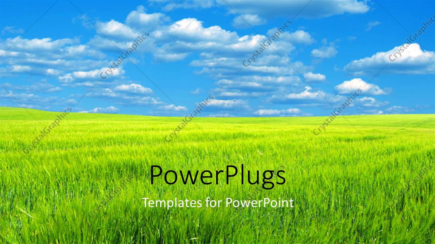 Premium Template for PowerPoint & Google Slides 