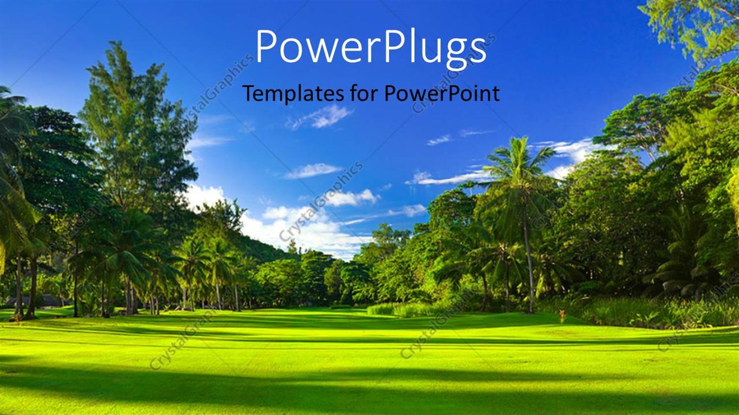 Premium Template for PowerPoint & Google Slides 