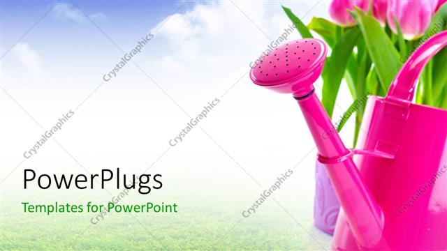  Presentation with tulip - A lot of greenery and tulip flowers with sky in the background