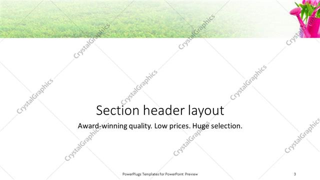Section Header presentation slide layout