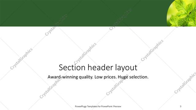 Section Header presentation slide layout