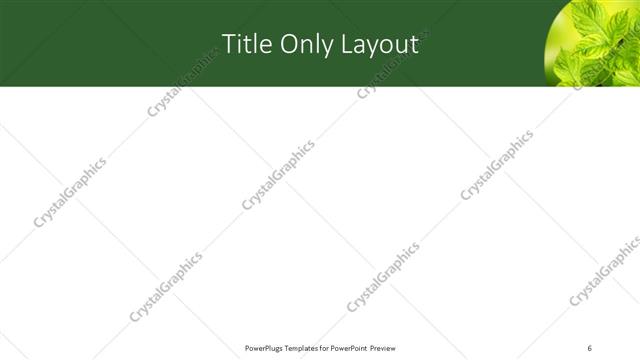 Title Only presentation slide layout