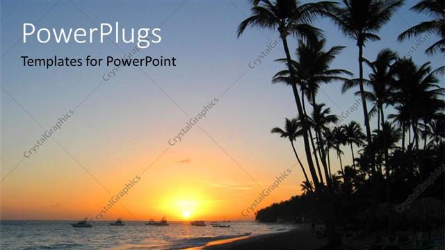  Presentation with palm beach - A lot of palm trees on the beach with sea in background