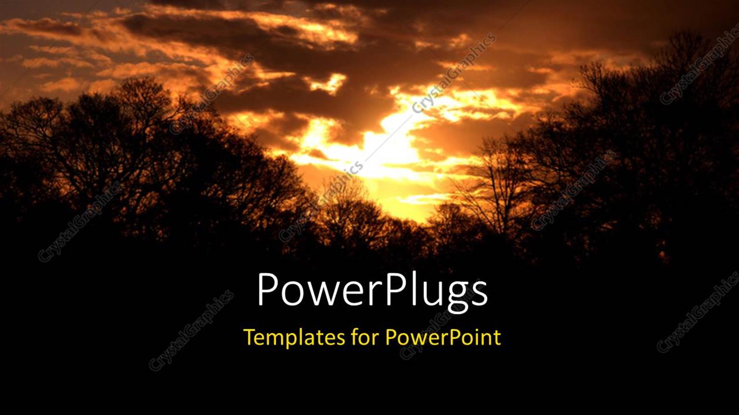 Premium Template for PowerPoint & Google Slides 