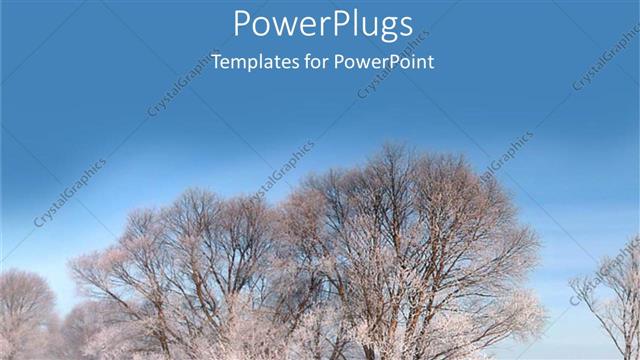  Presentation with fall season - A lot of trees in the fall season