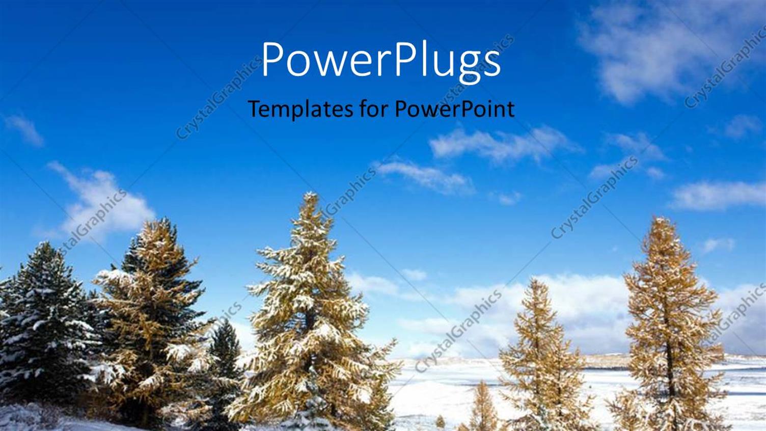 Premium Template for PowerPoint & Google Slides 