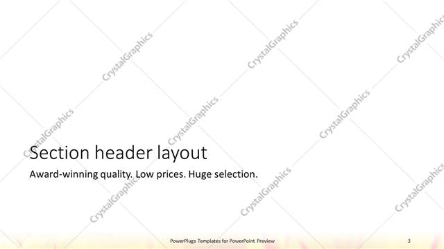 Section Header presentation slide layout
