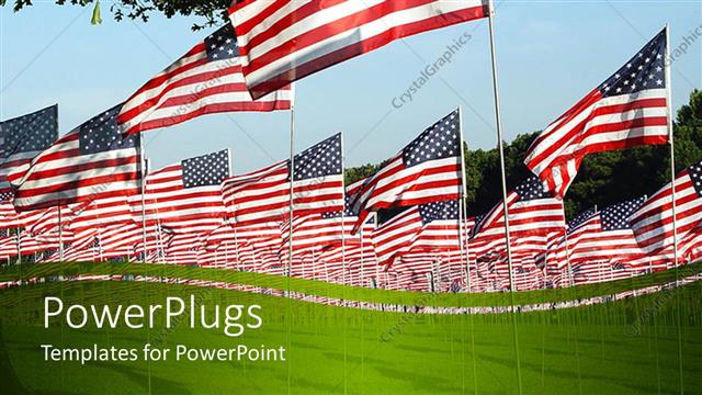  Presentation with field - Lots of American flags on a wide green grass field