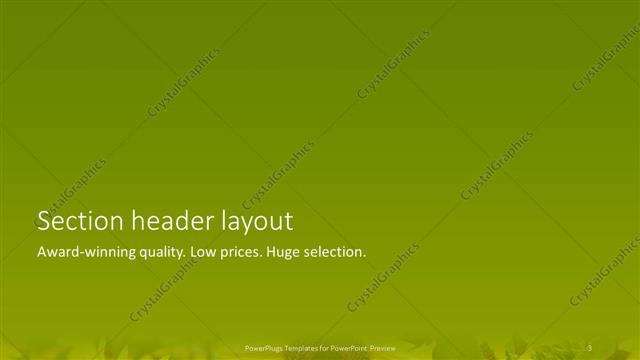 Section Header presentation slide layout
