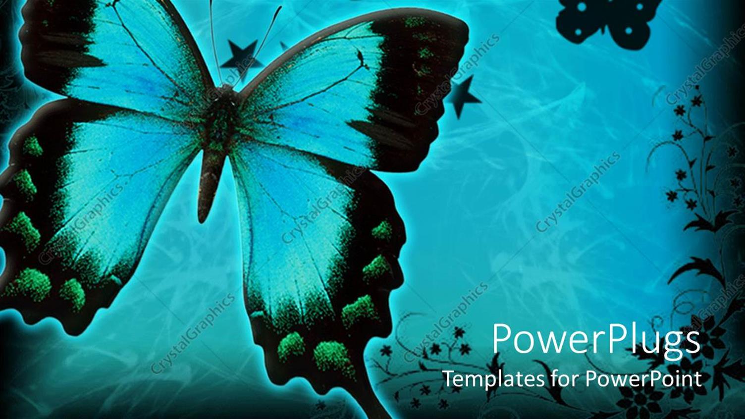 Premium Template for PowerPoint & Google Slides 