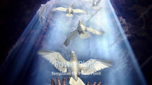  Presentation with cave - Lots of doves flying out of a cave opening