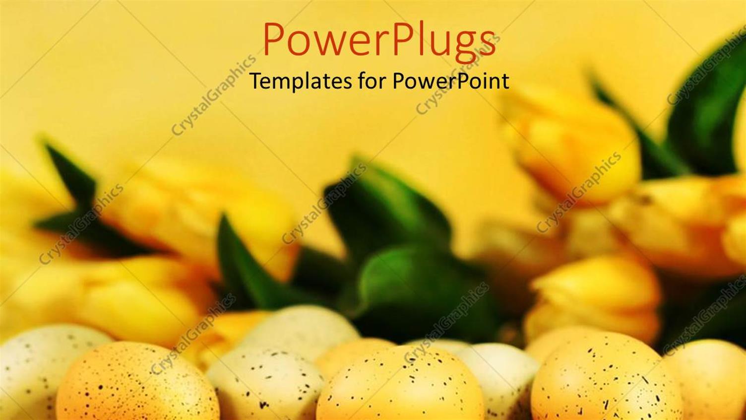 Premium Template for PowerPoint & Google Slides 