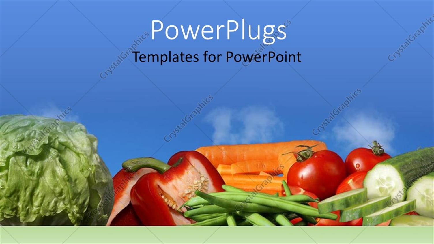 Premium Template for PowerPoint & Google Slides 