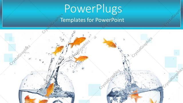  Presentation with gold - Lots of gold fishes jumping from a fish to the other