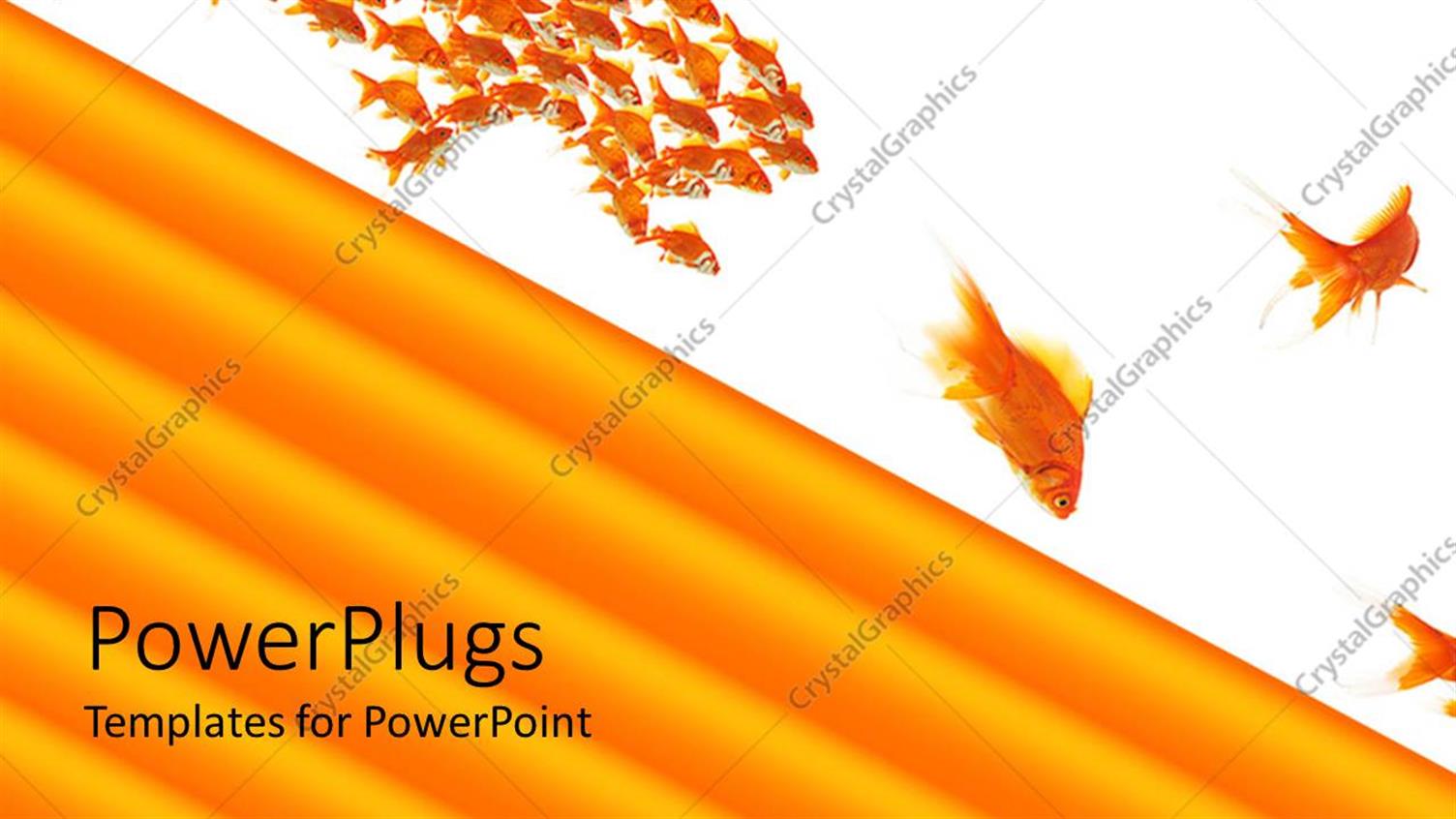 Premium Template for PowerPoint & Google Slides 