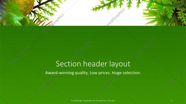 Section Header presentation slide layout